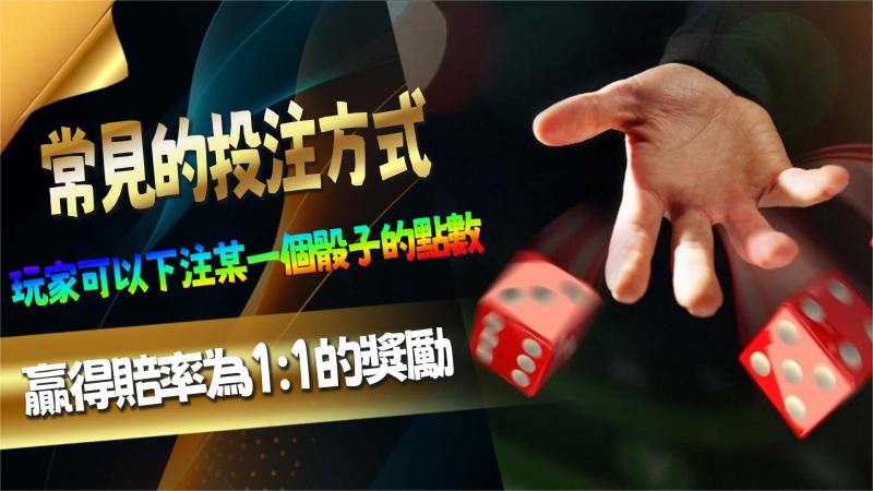 常見的投注方式